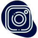 icono-instagram